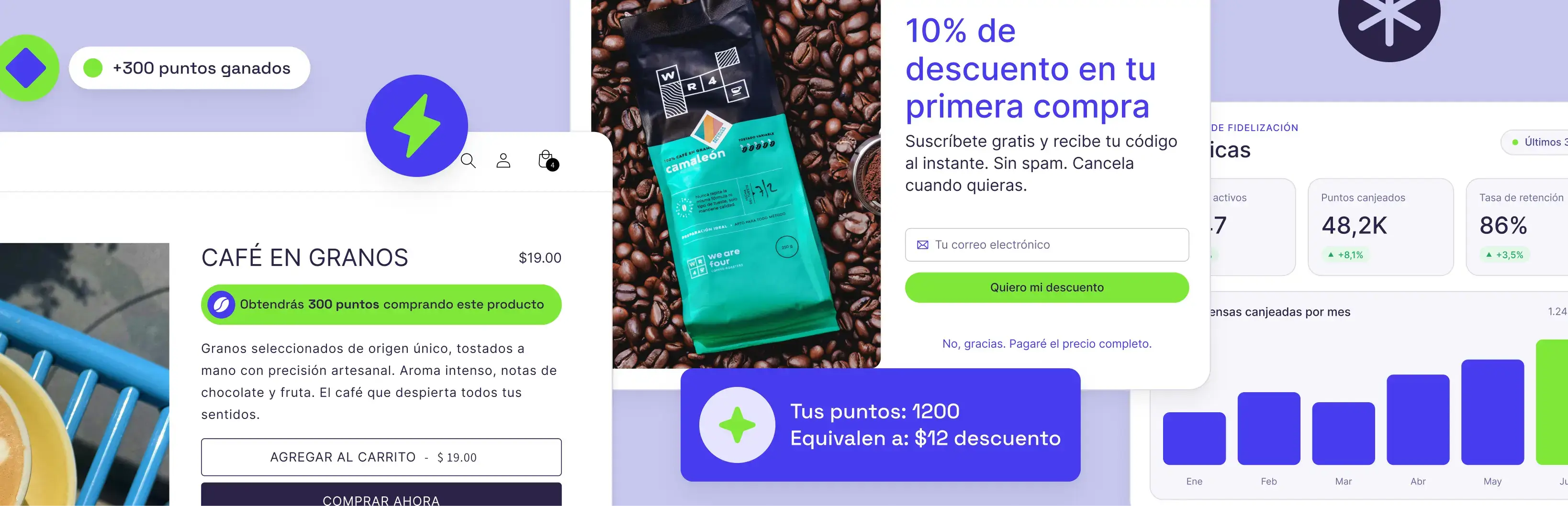 Panel de Livy, sistema de puntos para tiendas Shopify